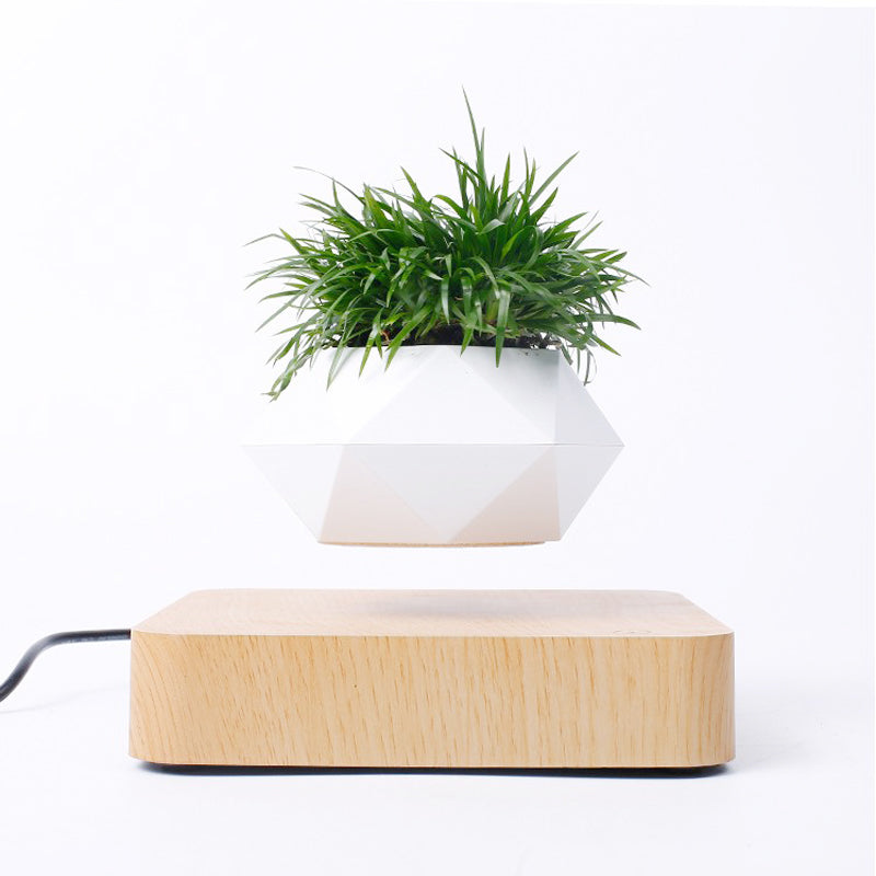 Levitating Magnetic Planter