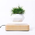 Levitating Magnetic Planter