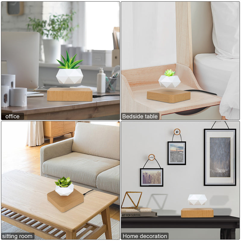 Levitating Magnetic Planter