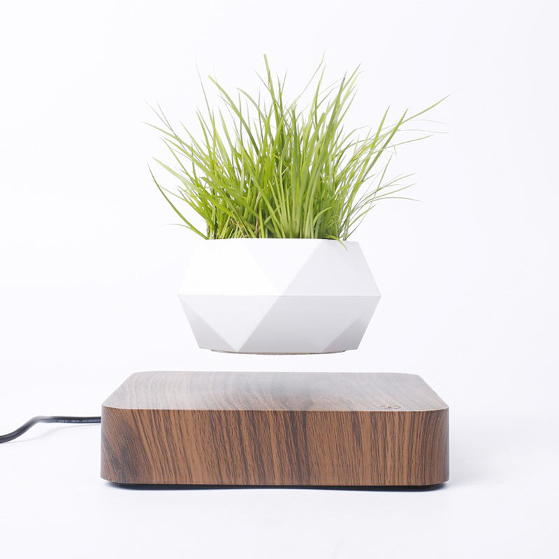 Levitating Magnetic Planter