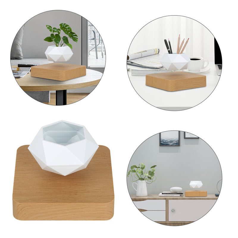 Levitating Magnetic Planter